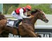  Carrera: P.G.P Howden Monta: V.Janacek Cuadra: C.Mare Nostrum